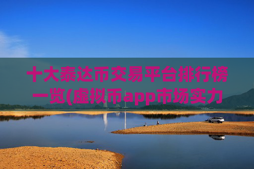 十大泰达币交易平台排行榜一览(虚拟币app市场实力对比)