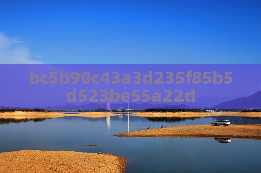 bc5b90c43a3d235f85b5d523be55a22d