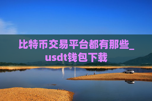比特币交易平台都有那些_usdt钱包下载