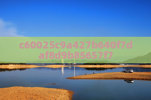 c60025c9a427b640f7daf8d9b85657f7