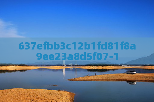637efbb3c12b1fd81f8a9ee23a8d5f07-1
