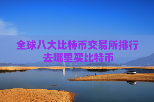 全球八大比特币交易所排行 去哪里买比特币
