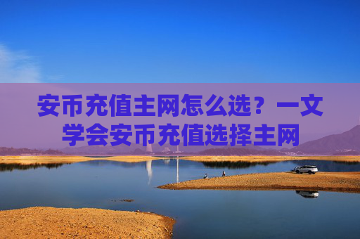 安币充值主网怎么选?一文学会安币充值选择主网