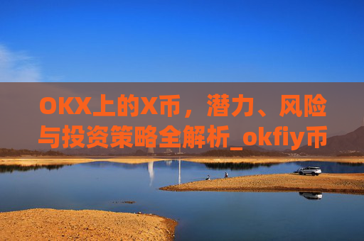 OKX上的X币，潜力、风险与投资策略全解析_okfiy币