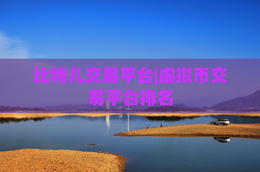 比特儿交易平台|虚拟币交易平台排名