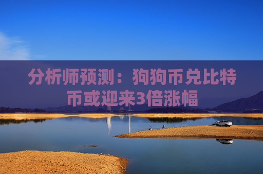 分析师预测：狗狗币兑比特币或迎来3倍涨幅