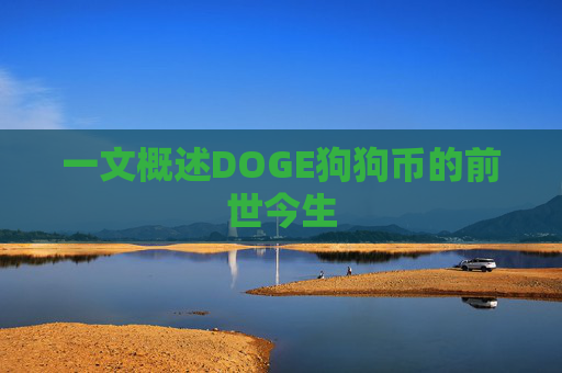 一文概述DOGE狗狗币的前世今生