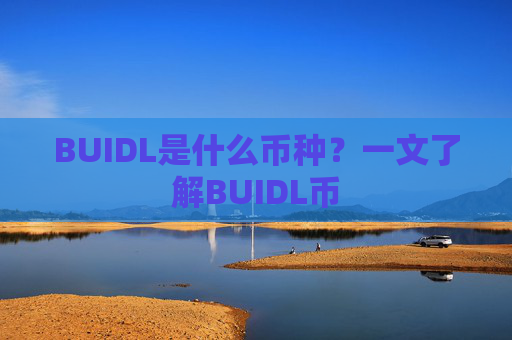 BUIDL是什么币种？一文了解BUIDL币