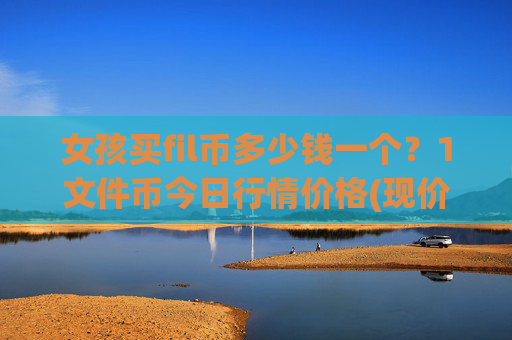 女孩买fil币多少钱一个？1文件币今日行情价格(现价36.5668元)