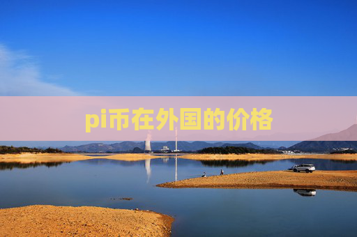 pi币在外国的价格