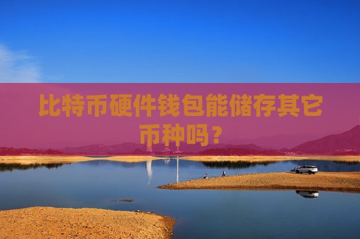 比特币硬件钱包能储存其它币种吗？