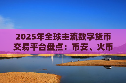 2025年全球主流数字货币交易平台盘点：币安、火币、OKEx等平台全面解析
