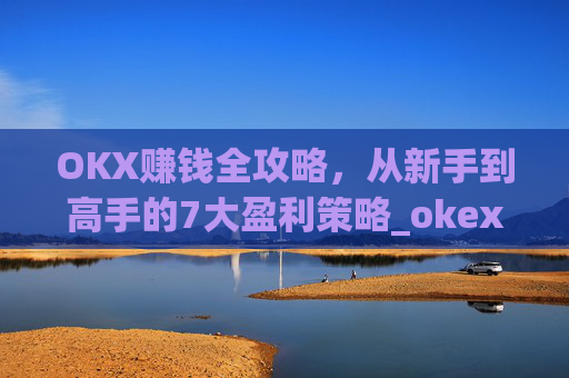 OKX赚钱全攻略，从新手到高手的7大盈利策略_okex是怎么赚钱的