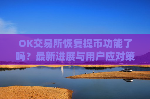 OK交易所恢复提币功能了吗？最新进展与用户应对策略解析_ok交易所能提币了吗是真的吗