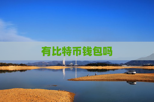 有比特币钱包吗