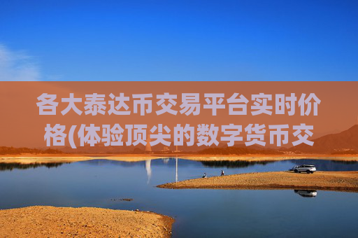 各大泰达币交易平台实时价格(体验顶尖的数字货币交易)