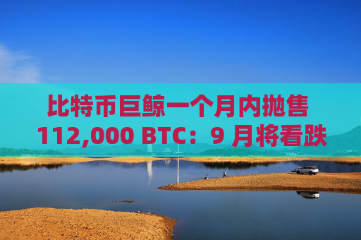 比特币巨鲸一个月内抛售 112,000 BTC：9 月将看跌？