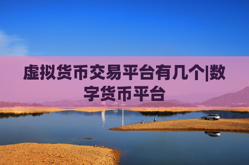 虚拟货币交易平台有几个|数字货币平台