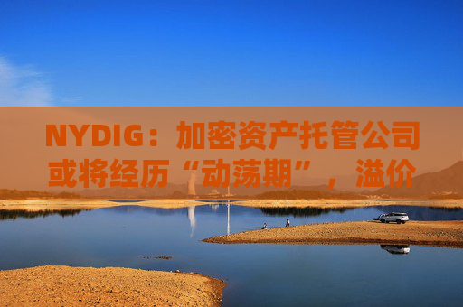 NYDIG：加密资产托管公司或将经历“动荡期”，溢价持续收窄