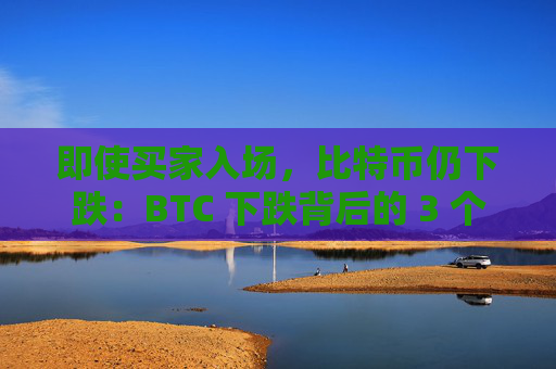 即使买家入场，比特币仍下跌：BTC 下跌背后的 3 个因素