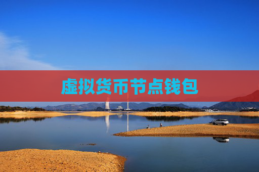 虚拟货币节点钱包
