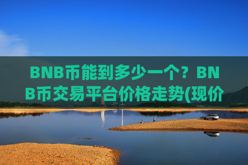 BNB币能到多少一个？BNB币交易平台价格走势(现价4863.25元)