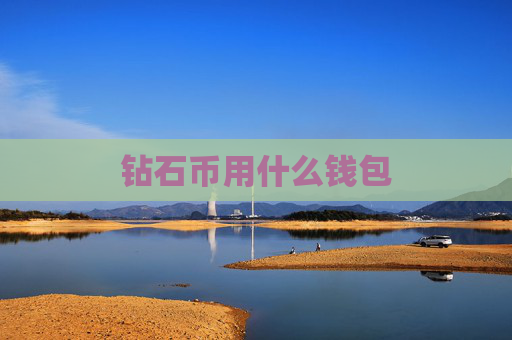 钻石币用什么钱包