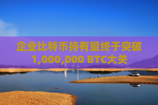 企业比特币持有量终于突破1,000,000 BTC大关