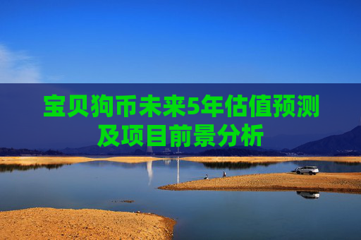 宝贝狗币未来5年估值预测及项目前景分析