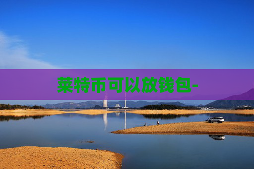 莱特币可以放钱包-