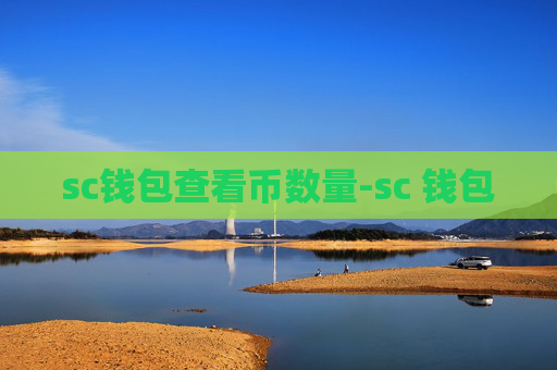 sc钱包查看币数量-sc 钱包