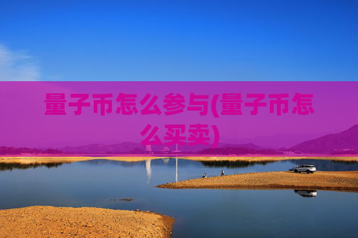 量子币怎么参与(量子币怎么买卖)