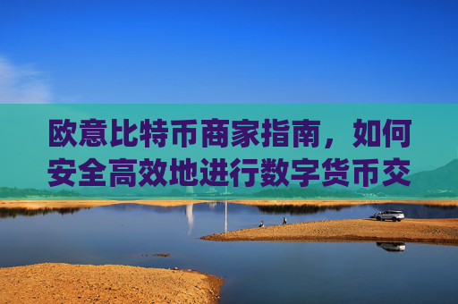 欧意比特币商家指南，如何安全高效地进行数字货币交易_欧比特币官网