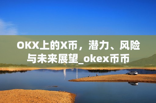 OKX上的X币，潜力、风险与未来展望_okex币币