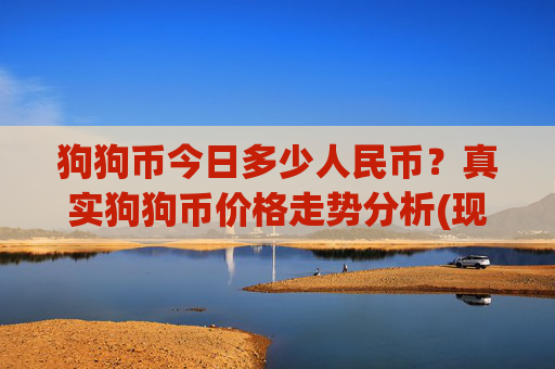 狗狗币今日多少人民币？真实狗狗币价格走势分析(现价2.3722元)