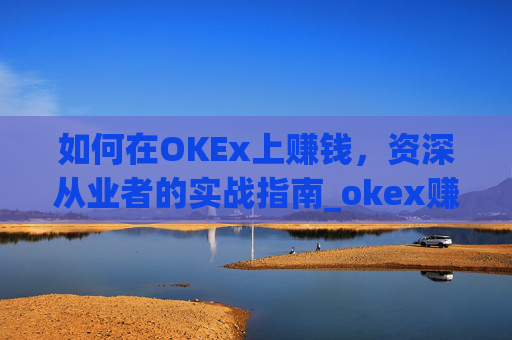如何在OKEx上赚钱，资深从业者的实战指南_okex赚钱吗