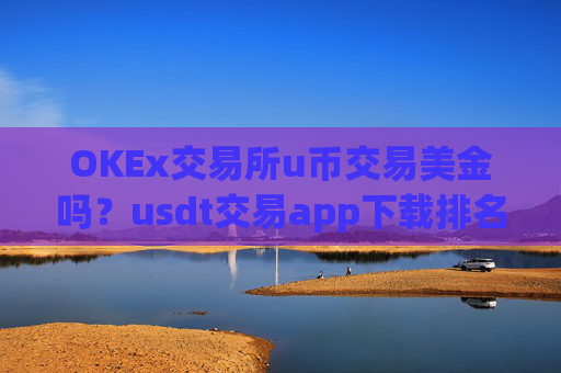 OKEx交易所u币交易美金吗？usdt交易app下载排名前十