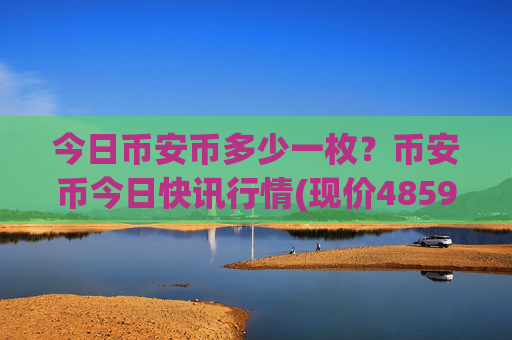今日币安币多少一枚？币安币今日快讯行情(现价4859.24元)