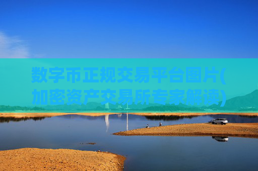 数字币正规交易平台图片(加密资产交易所专家解读)