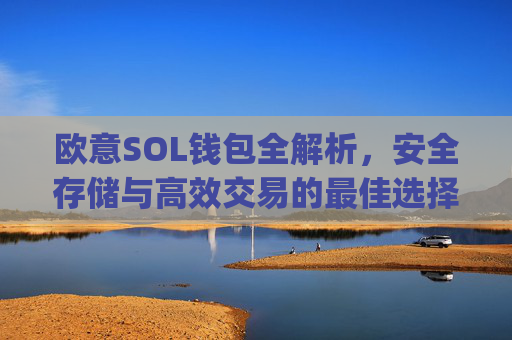 欧意SOL钱包全解析，安全存储与高效交易的最佳选择_oex钱包是什么