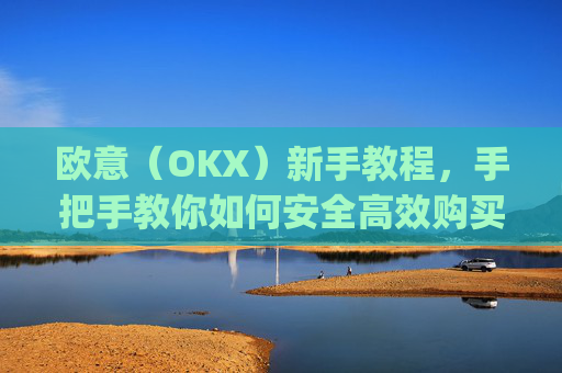 欧意（OKX）新手教程，手把手教你如何安全高效购买数字货币_