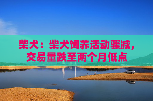 柴犬：柴犬饲养活动骤减，交易量跌至两个月低点
