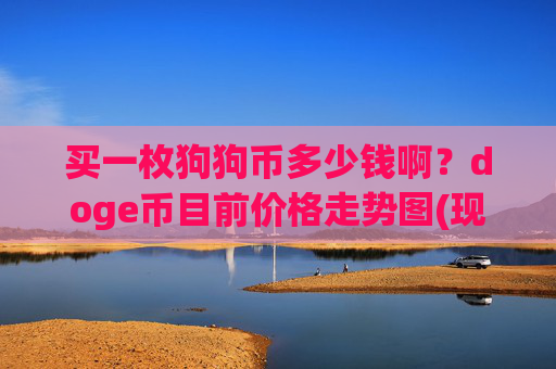 买一枚狗狗币多少钱啊？doge币目前价格走势图(现价2.3271元)
