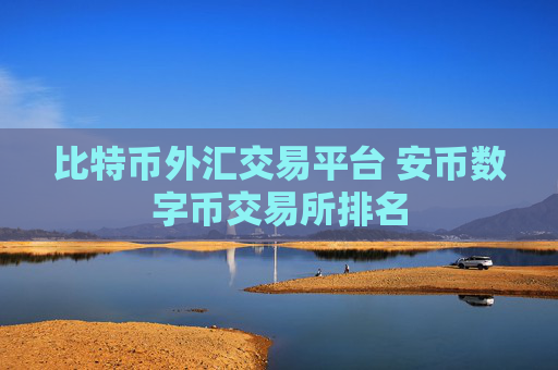 比特币外汇交易平台 安币数字币交易所排名
