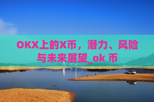 OKX上的X币，潜力、风险与未来展望_ok 币