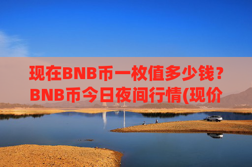 现在BNB币一枚值多少钱？BNB币今日夜间行情(现价4881.56元)