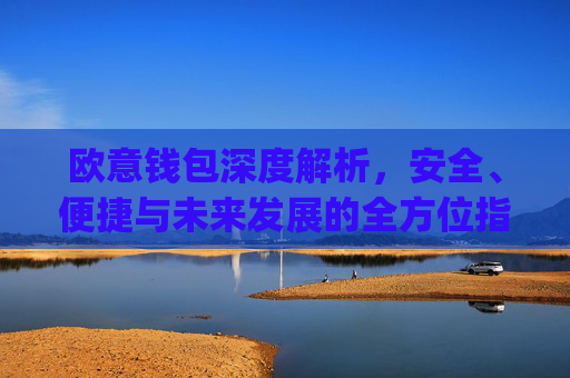 欧意钱包深度解析，安全、便捷与未来发展的全方位指南_欧了钱包的钱怎么取出来