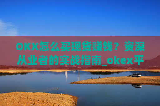 OKX怎么买现货赚钱？资深从业者的实战指南_okex平台怎么买卖