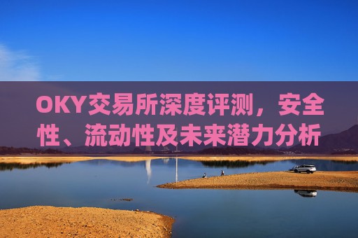 OKY交易所深度评测，安全性、流动性及未来潜力分析_oky交易所官网
