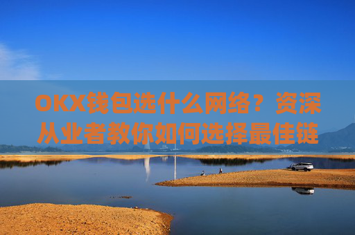 OKX钱包选什么网络？资深从业者教你如何选择最佳链上网络_okex钱包是什么